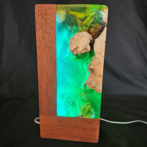 Lampe déco AQUARIUM RGB 2