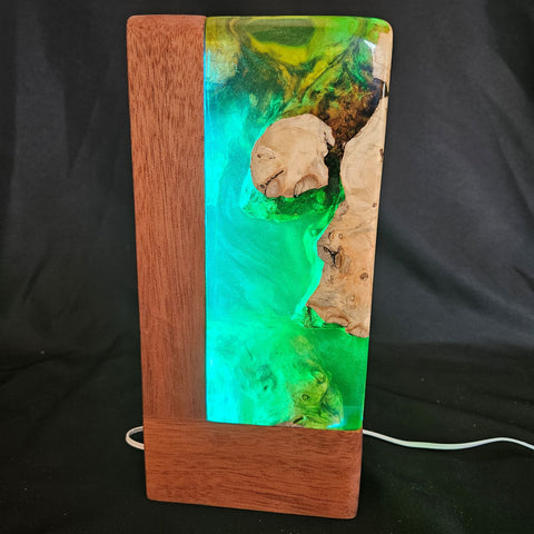 Lampe déco AQUARIUM RGB 2