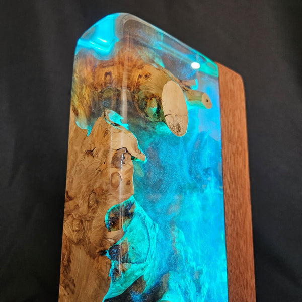 Lampe déco AQUARIUM RGB