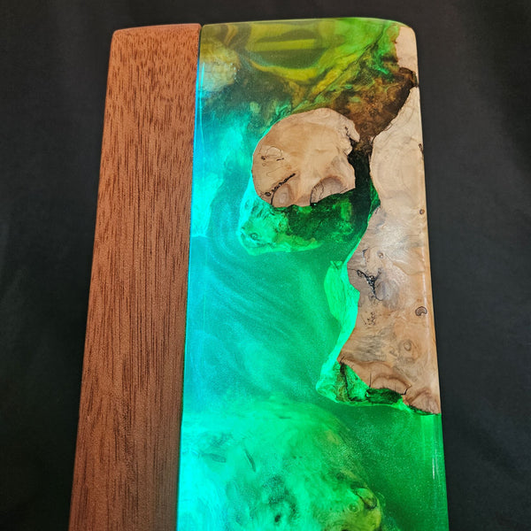Lampe déco AQUARIUM RGB 2