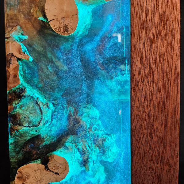 Lampe déco AQUARIUM RGB