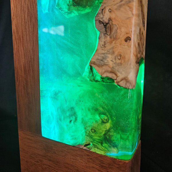 Lampe déco AQUARIUM RGB 2